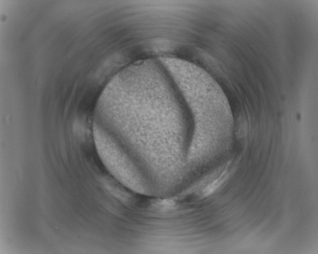 X0000070420140200606231902