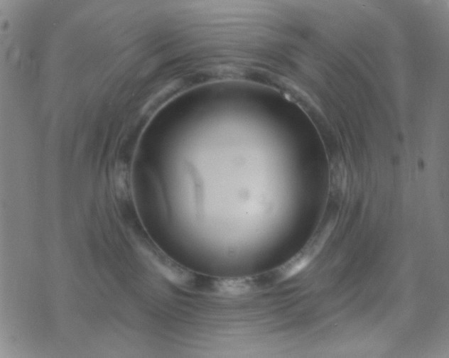 X0000070420141200606231902