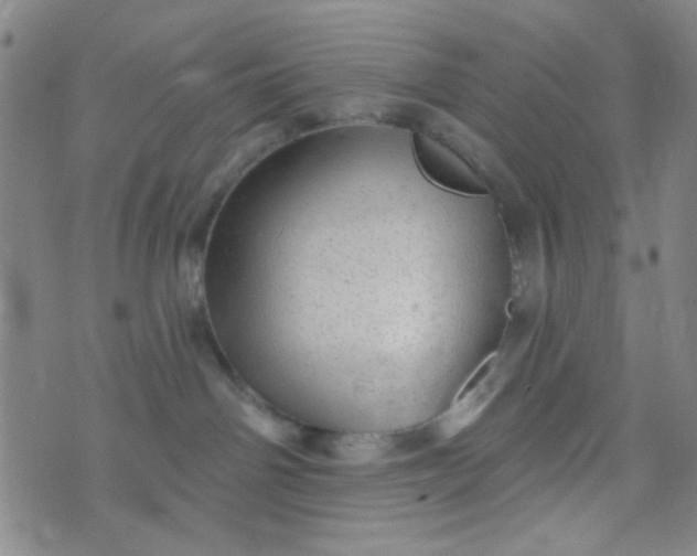 X0000070420142200606231902