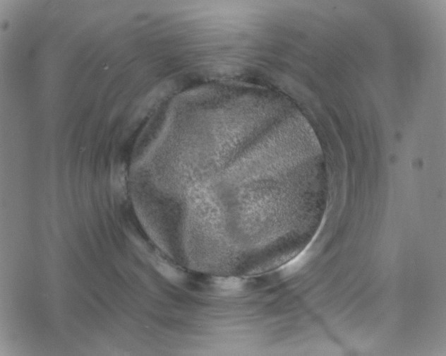 X0000070420144200606231902