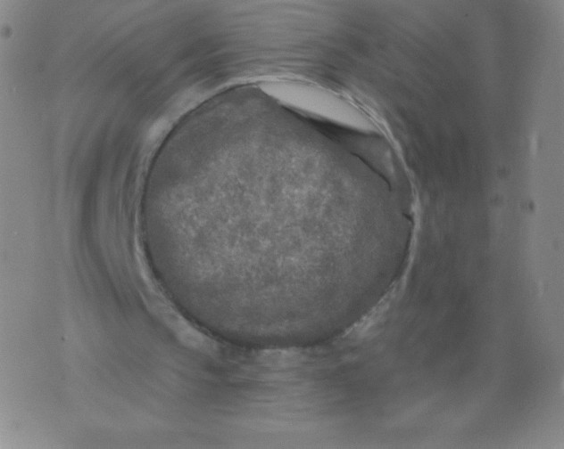 X0000070420145200606231901