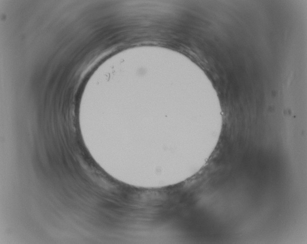 X0000070420146200606231901