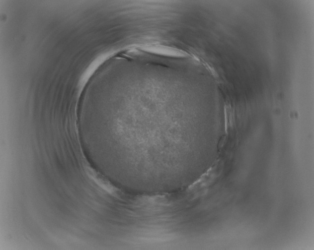 X0000070420147200606231901