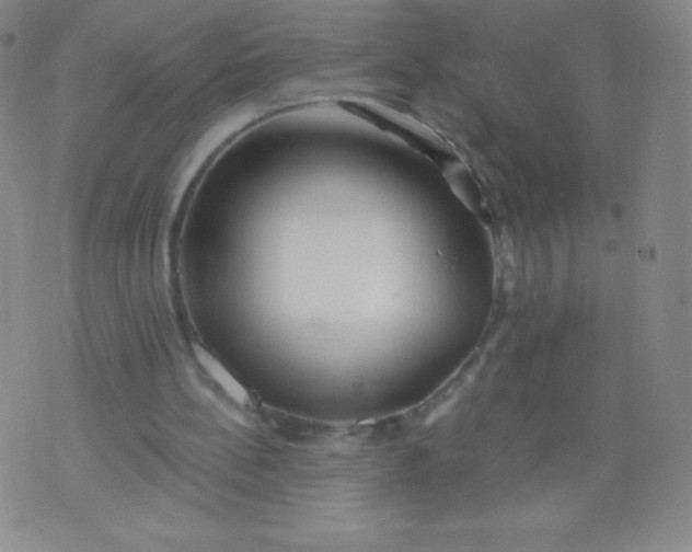 X0000070420148200606231901