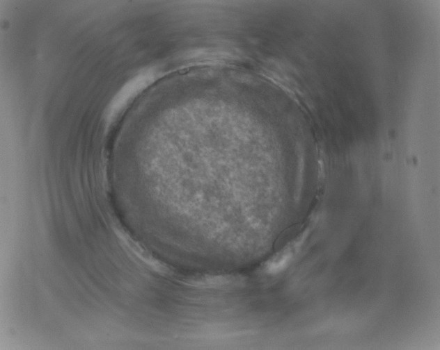 X0000070420149200606231901