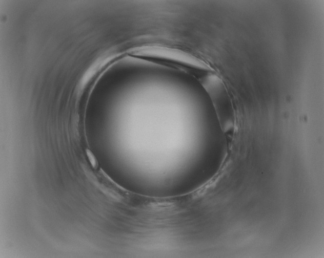 X0000070420150200606231901