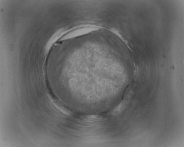 X0000070420151200606231901