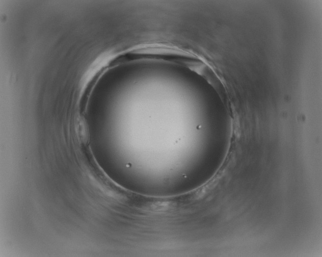 X0000070420152200606231901