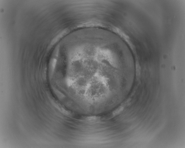 X0000070420153200606231901