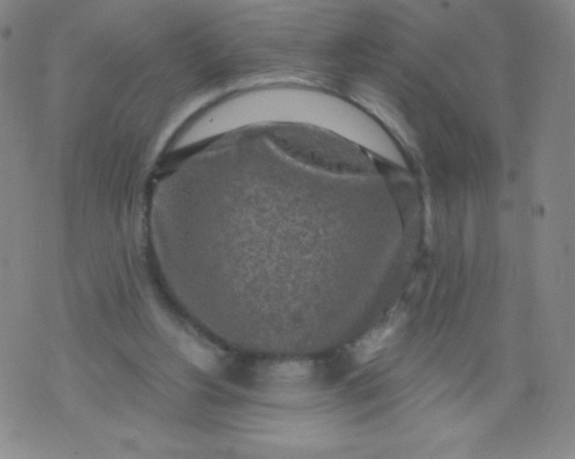 X0000070420156200606231902