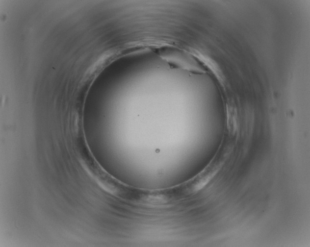 X0000070420157200606231902