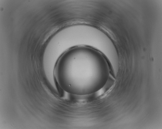 X0000070420158200606231902