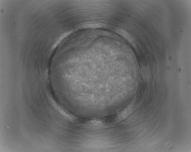 X0000070420159200606231902