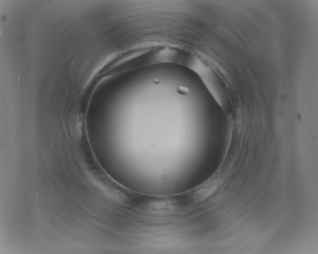 X0000070420160200606231902