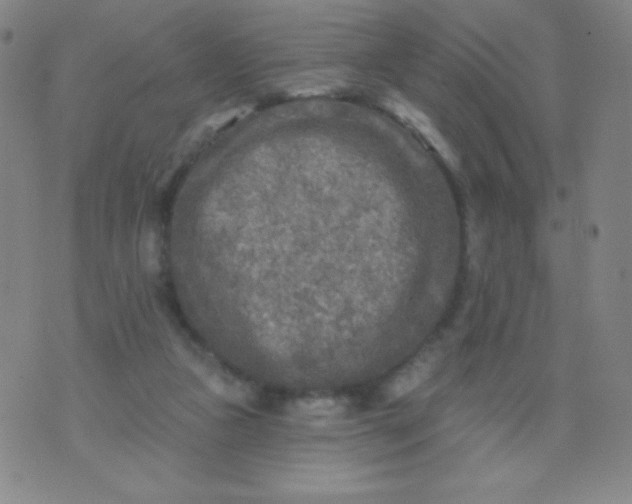 X0000070420161200606231902