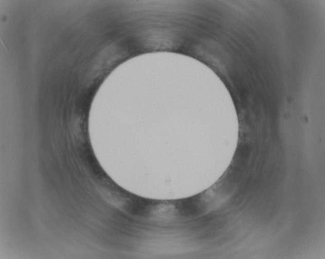 X0000070420162200606231902