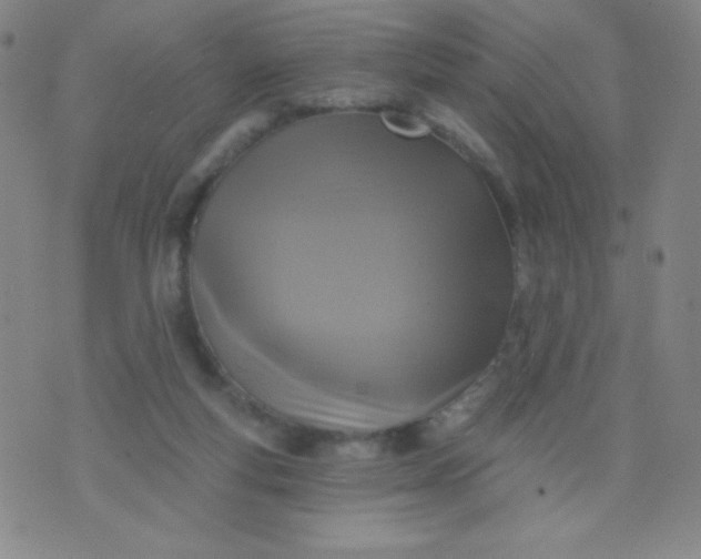 X0000070420163200606231902