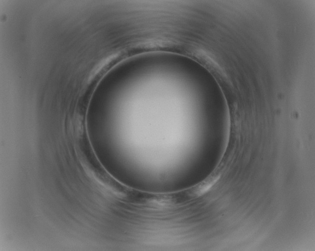 X0000070420164200606231902