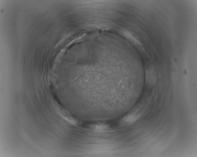 X0000070420165200606231902