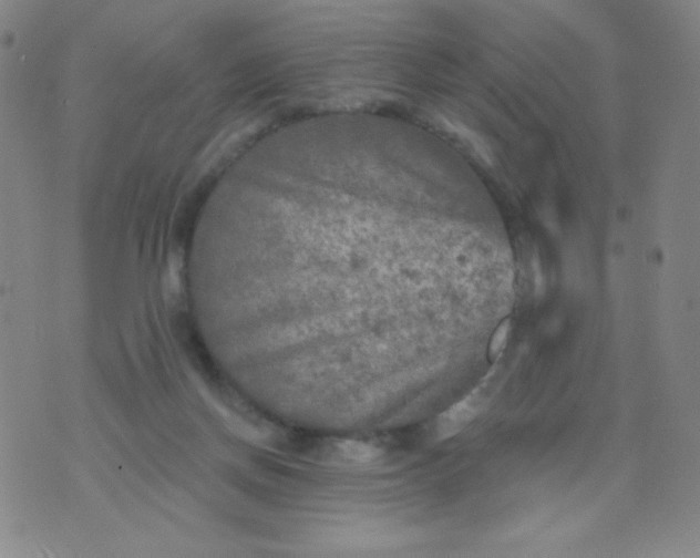 X0000070420166200606231902