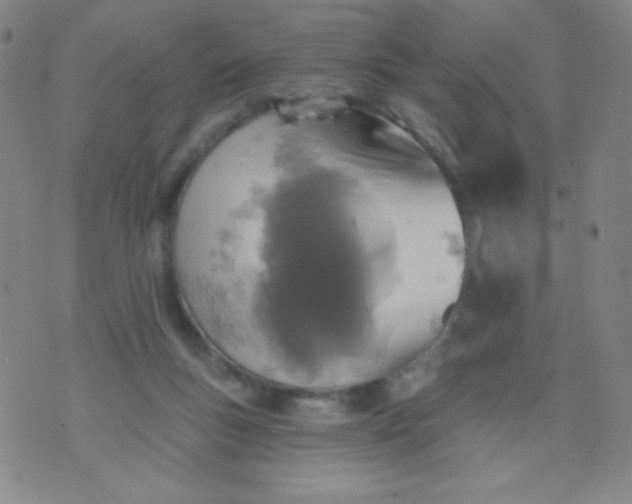 X0000070420167200606231902