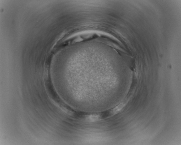 X0000070420168200606231902