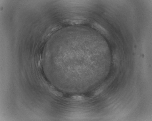 X0000070420169200606231902