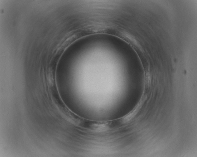 X0000070420170200606231902