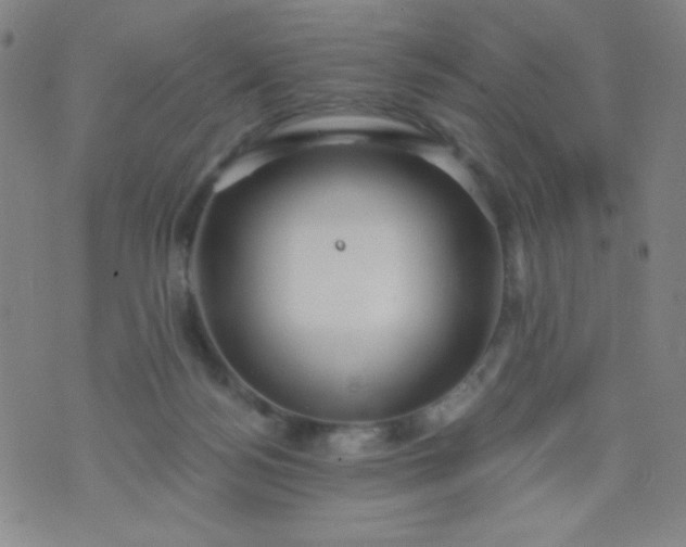 X0000070420172200606231902