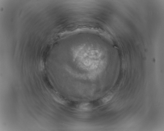 X0000070420173200606231902