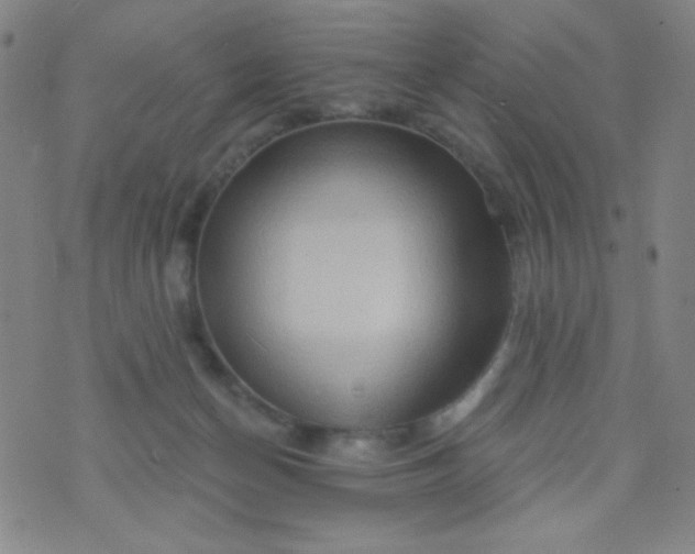 X0000070420174200606231902