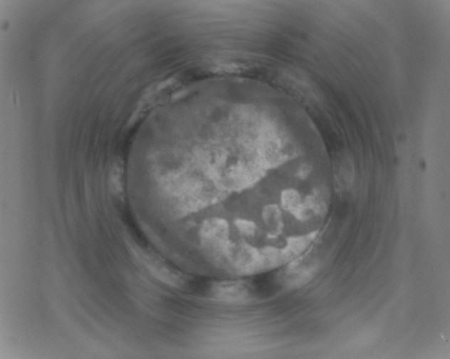 X0000070420175200606231902