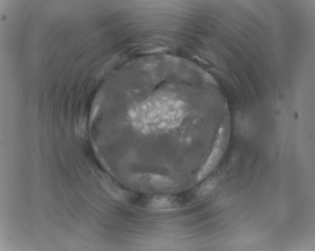 X0000070420177200606231902