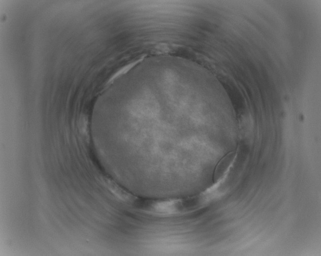 X0000070420178200606231902