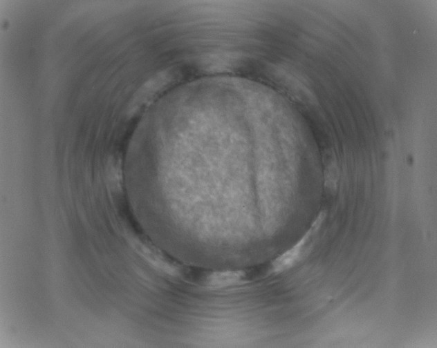 X0000070420179200606231902