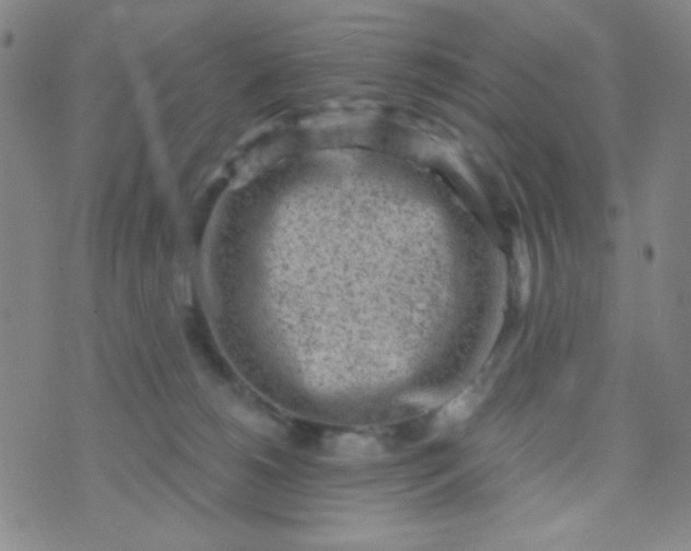 X0000070420180200606231902