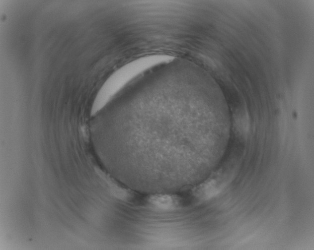 X0000070420181200606231902