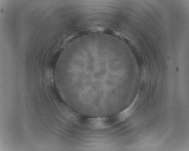 X0000070420182200606231902