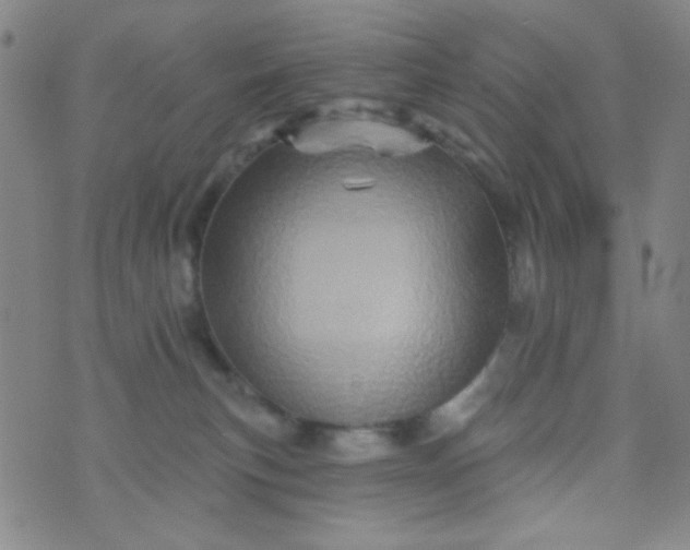 X0000070420183200606231902