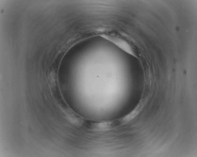 X0000070420184200606231902