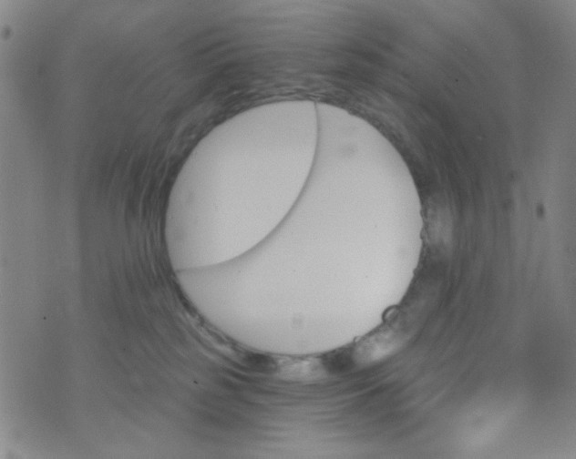 X0000070420185200606231902