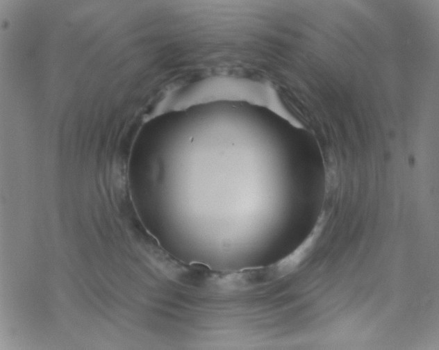 X0000070420186200606231902