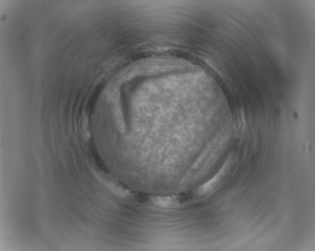 X0000070420187200606231902