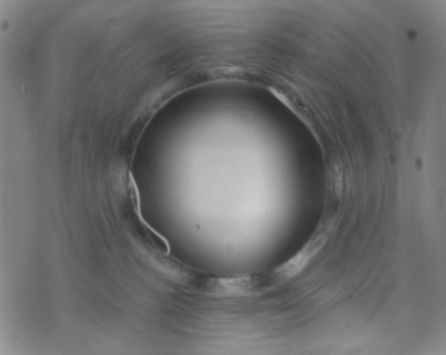 X0000070420188200606231902