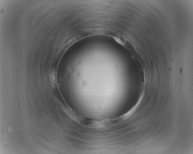 X0000070420190200606231902