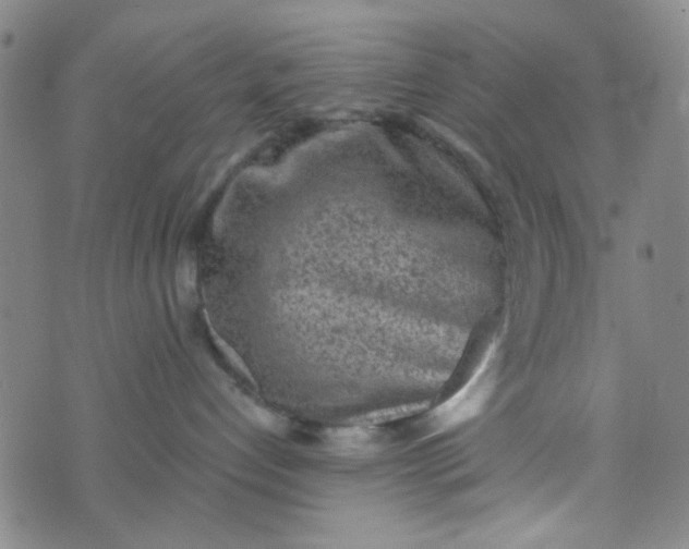 X0000070420192200606231902