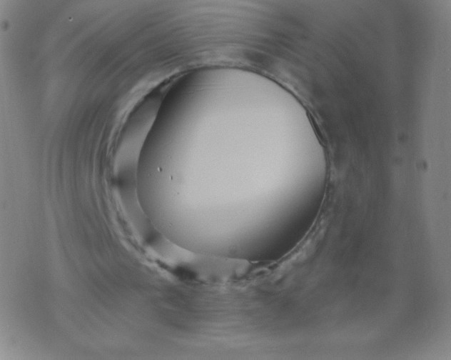 X0000070420193200606231901