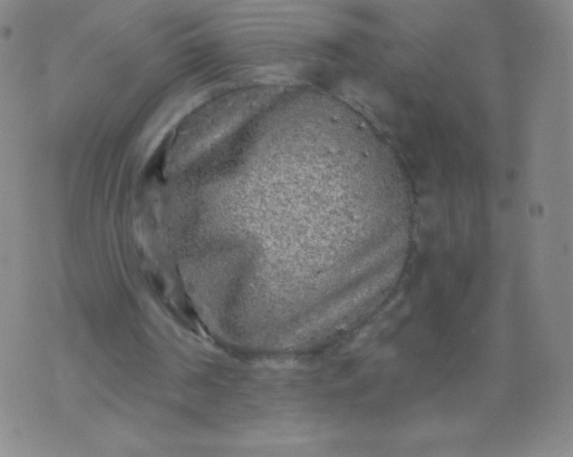 X0000070420194200606231901