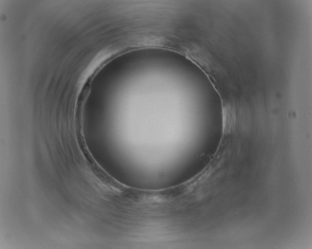 X0000070420195200606231901