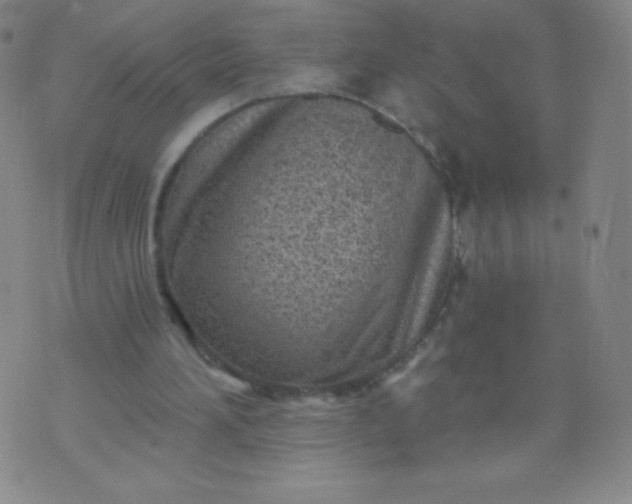 X0000070420196200606231901